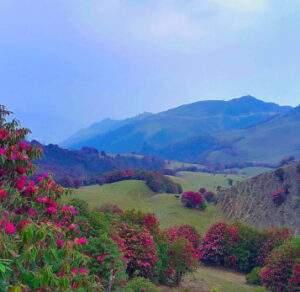 Dagala 1000 lakes Trek