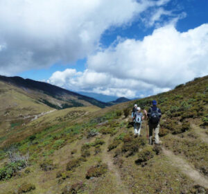 Laya Gasa Trek