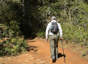 Guest Trekking in Bhutan