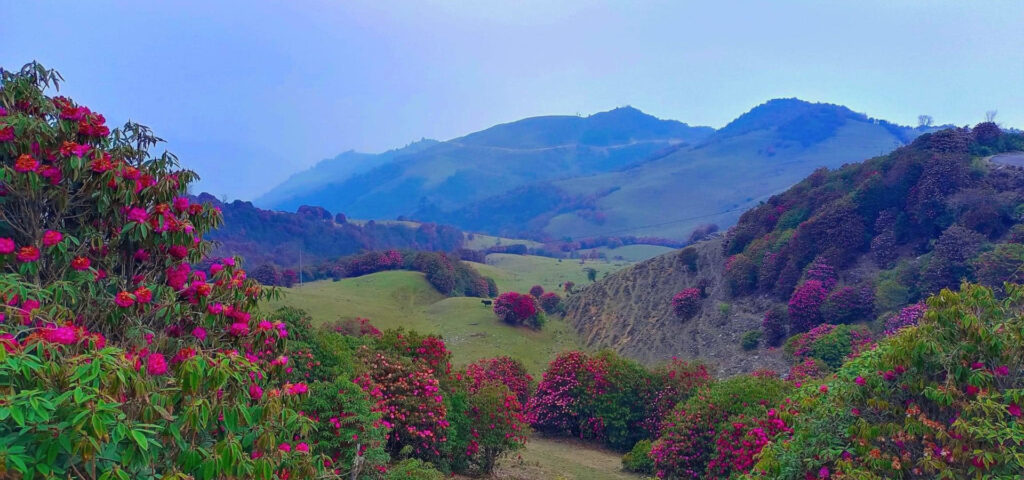 Zele Dzong